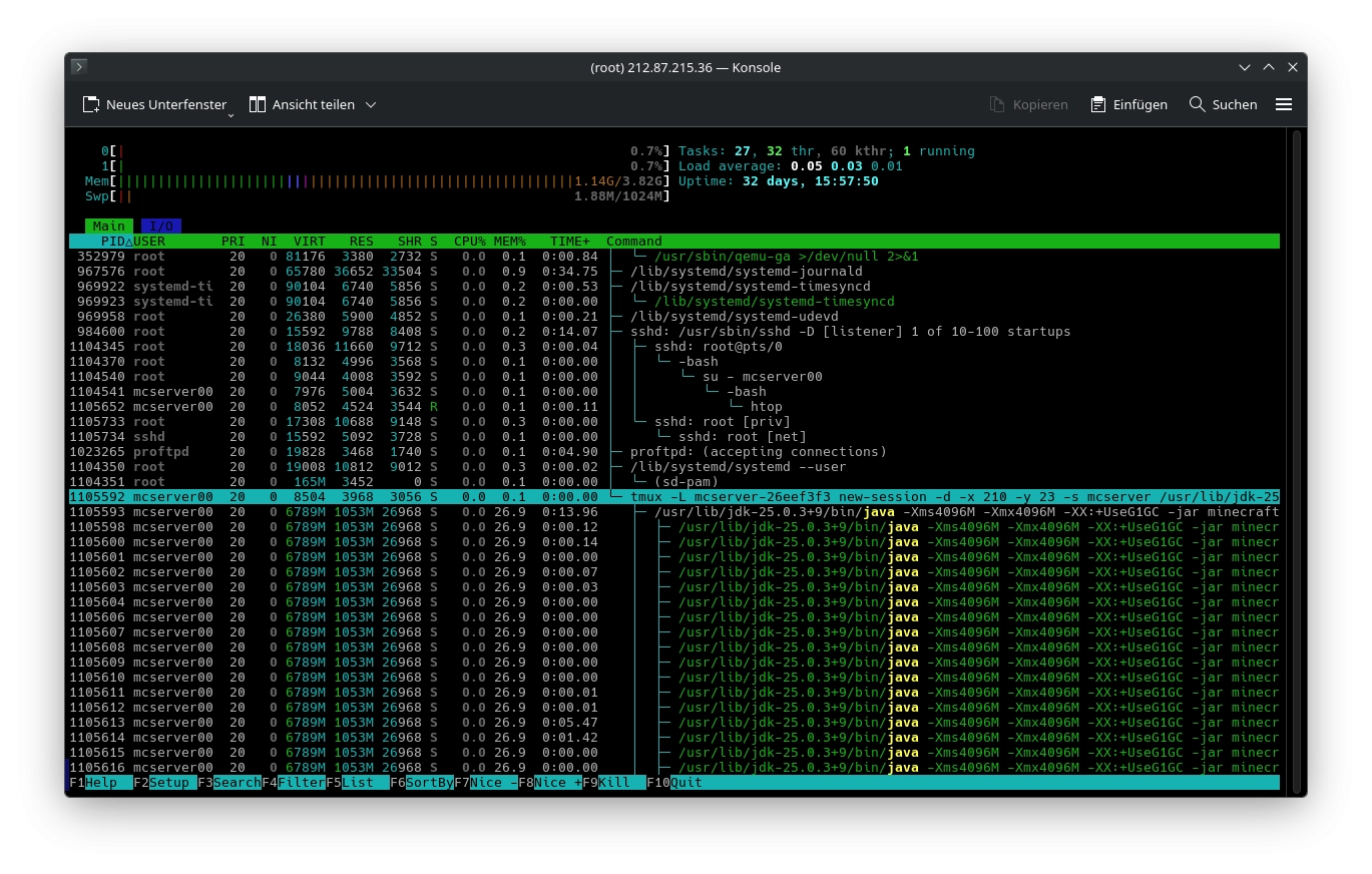 htop eines VPS von Prepaid Hoster